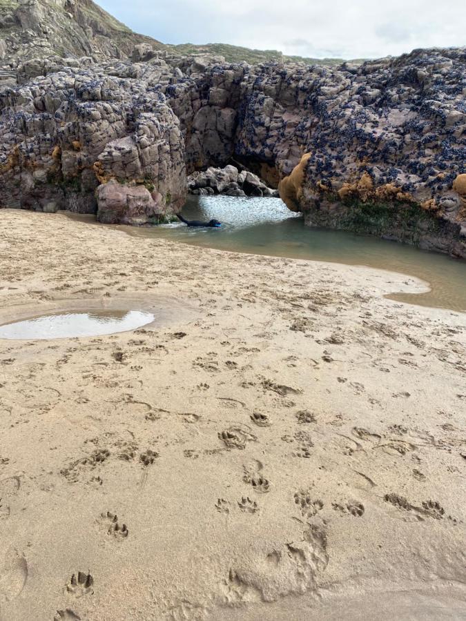 Morwenna Lodge Bude Luaran gambar